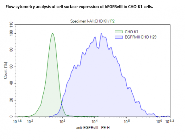 Human EGFRvIII- CHO K1 Recombinant Cell Line (High or Low Expression)-78145-H