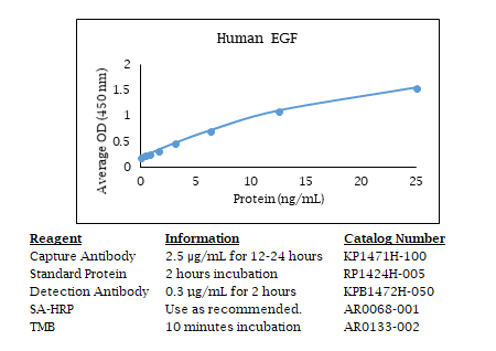 Anti-EGF (human)