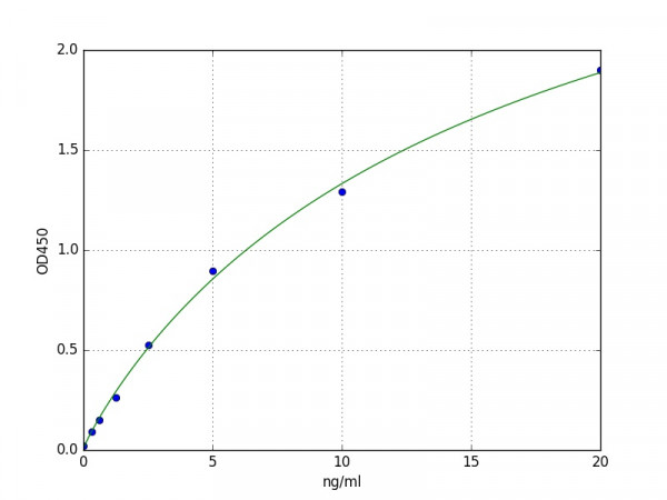 Human CYP2C9 / Cytochrome P450 2C9 ELISA Kit