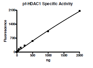 pf-HDAC-1, active malarial recombinant protein, C-terminal His-tag and FLAG-tag