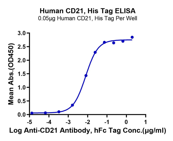 Human CD21 Protein