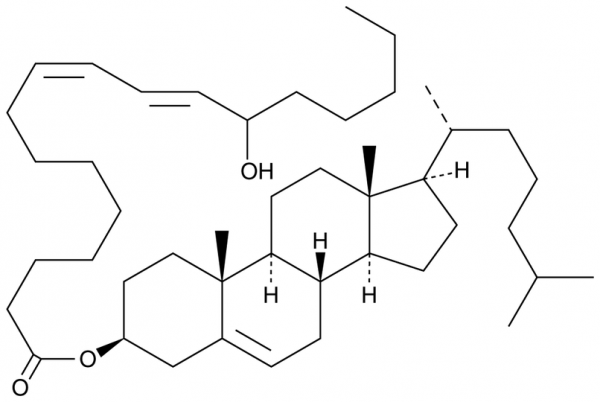 (±)13-HODE cholesteryl ester