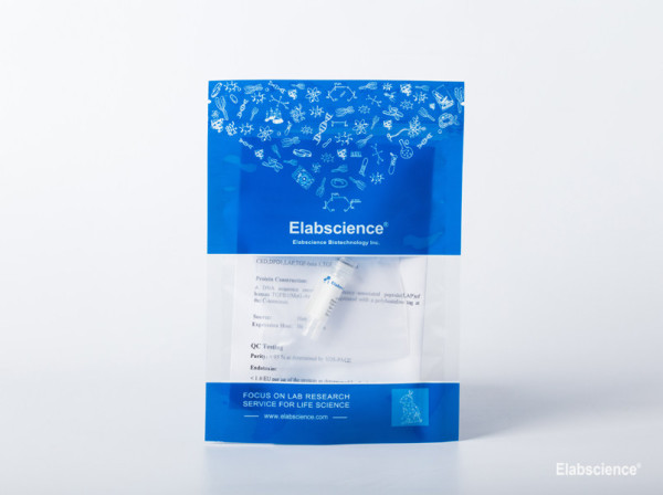 Recombinant Rat IL-4 Protein