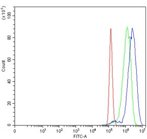 Anti-BRD9 / Bromodomain-containing protein 9