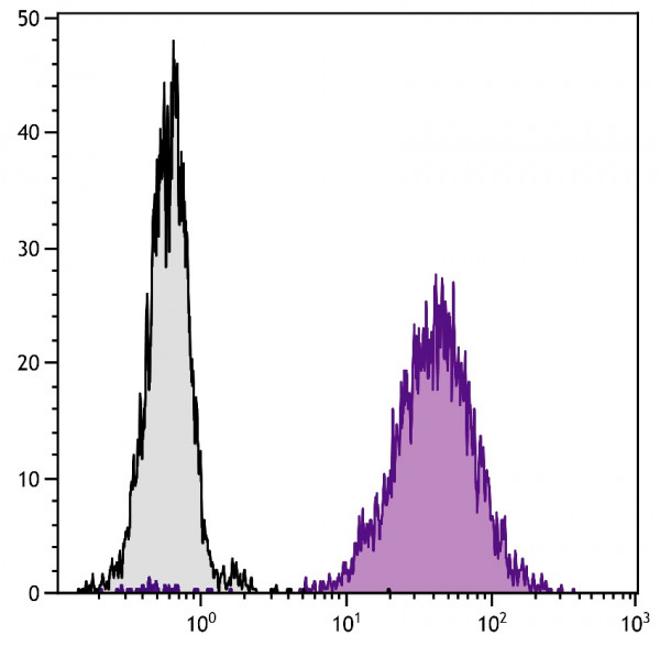 Anti-CD80 (PE), clone 1G10