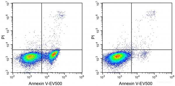 Annexin V-EV500 / PI Apoptosis Detection Kit[235]
