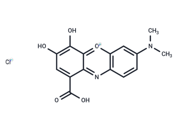 Gallocyanine