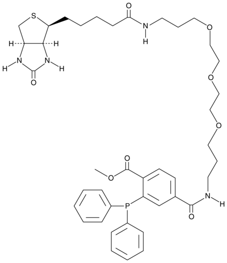 Phosphine-biotin