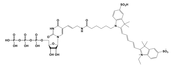 Sulfo-Cyanine5 UTP