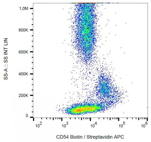 Anti-CD54, clone 1H4 (Biotin)