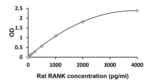 Rat RANK ELISA Kit