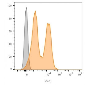 Anti-NCAM / CD56, clone 123C3.D5
