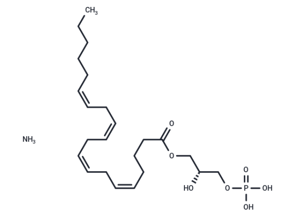 1-Arachidonoyl Lysophosphatidic Acid (ammonium salt)