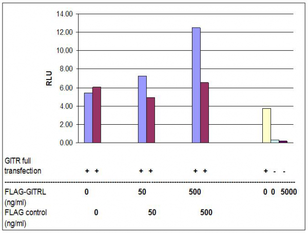 GITRL, Soluble (mouse, rec.)