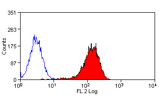 Anti-ABCA1 (RPE), clone 5A1-1422