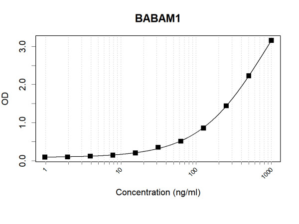 Anti-Human BABAM1 Antibody Pair