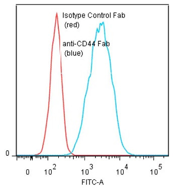 Anti-CD44 (human), mAb (BU52) (Fab)