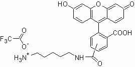 5(6)-FAM cadaverine