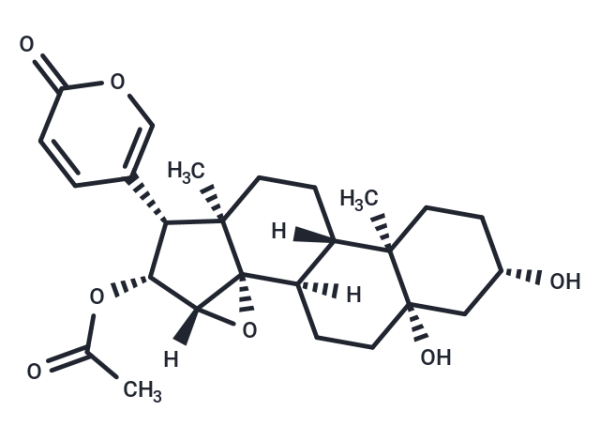 Cinobufotalin