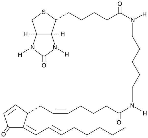 15-deoxy-Delta12,14-Prostaglandin J2-biotin