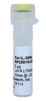 Recombinant Protein, il-36ra rat (rilIL-36RA)