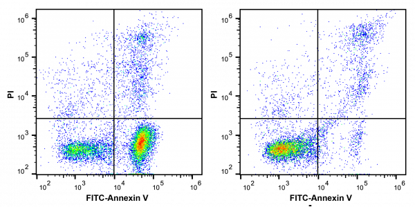 Annexin V-FITC/PI Apoptosis Kit