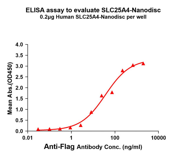 SLC25A4 (human) full length protein-synthetic nanodisc
