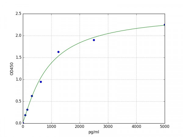 Human Glycylpeptide N-tetradecanoyltransferase 1 ELISA Kit