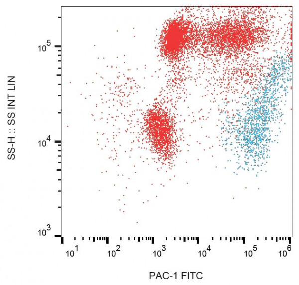 Anti-CD41-CD61 Complex (FITC), clone PAC-1