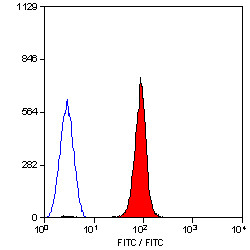 Anti-CD235a (FITC), clone YTH89.1