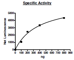 MNK1 (5385D), active human recombinant protein