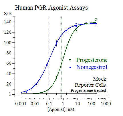 PR (human) Reporter Assay Kit