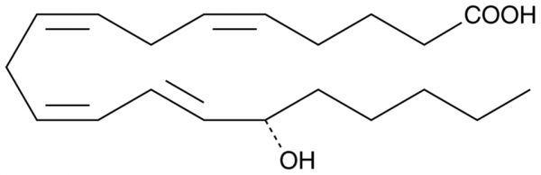 15(S)-HETE MaxSpec(R) Standard