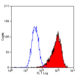 Anti-CD34, clone MEC14.7