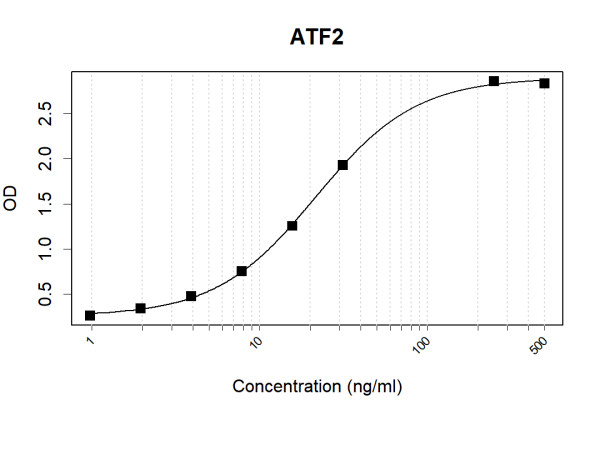 Anti-Human ATF2 Antibody Pair