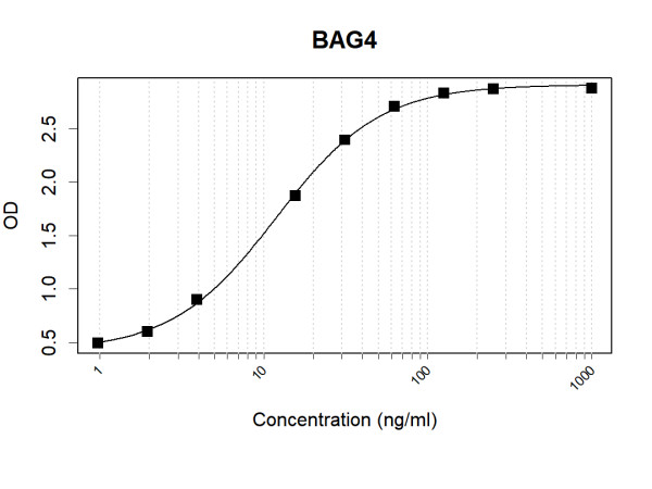 Anti-Human BAG4 Antibody Pair