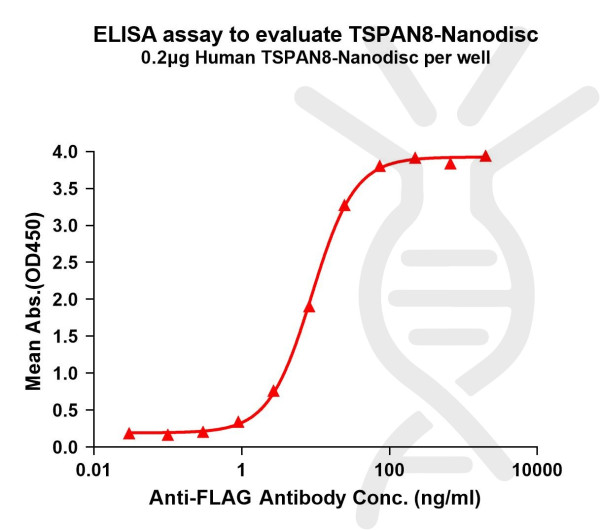 TSPAN8 (human) full length protein-synthetic nanodisc
