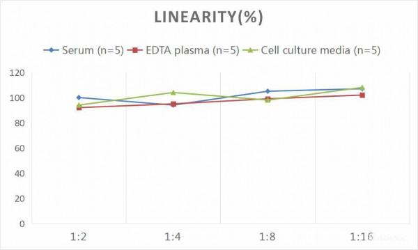 Human ALCAM (Activated Leukocyte Cell Adhesion Molecule) CLIA Kit