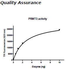 PRMT3, active human recombinant protein