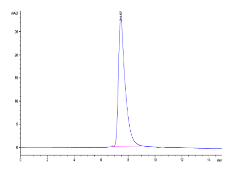 DKK1 N terminal Domain hFc Chimera, Avi, Human