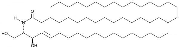 C32 Ceramide (d18:1/32:0)