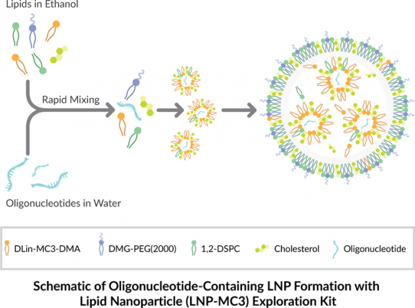 LipidLaunch(TM) LNP-MC3 Exploration Kit