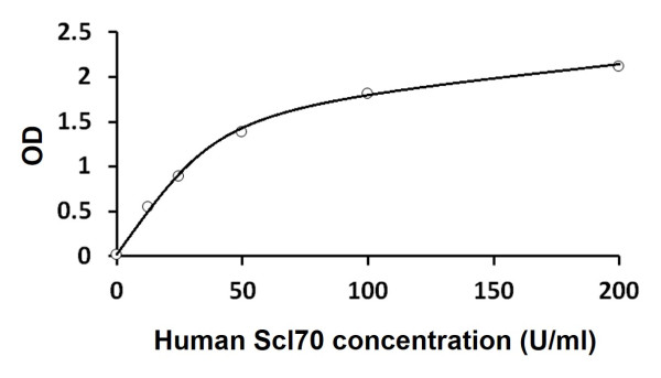 Human Scl70 antibody ELISA Kit