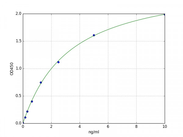 Mouse Eef2k / Eukaryotic elongation factor 2 kinase ELISA Kit