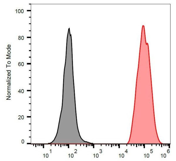 Anti-Vimentin, clone VI-RE/1 (APC)