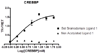 CREBBP TR-FRET Assay Kit