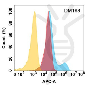 Anti-MICB antibody(DM168), Rabbit mAb