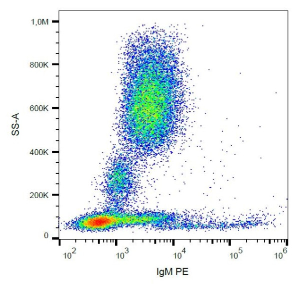 Anti-IgM, clone CH2 (PE )