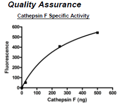 Cathepsin F, active human recombinant protein