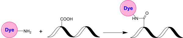 XFD700 amine
